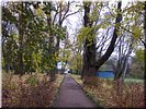 Дорога к дому Дорога к дому