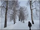 К монументу К монументу