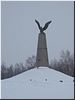 Наполеоновский орёл Наполеоновский орёл