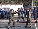 Элементы рукопашного боя Элементы рукопашного боя