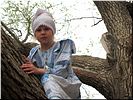 «Высоко сижу, далеко гляжу...» «Высоко сижу, далеко гляжу...»
