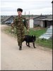 Казачий дозор Казачий дозор