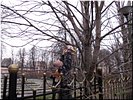 Кормушка для птиц-ещё одно задание Кормушка для птиц-ещё одно задание