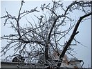 Подмосковные узоры Подмосковные узоры