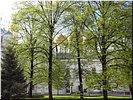 Весенняя благодать Весенняя благодать
