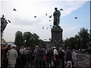 Птицы-ангелы Птицы-ангелы