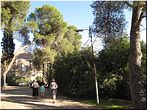 �� �������