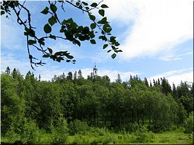 Северная Голгофа Северная Голгофа