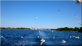 Провожают чайки Провожают чайки