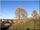 Вид с Высокого городища Вид с Высокого городища