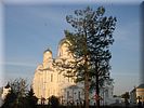 Птицы