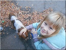 ���� �� ���������� ����� ������� ������� � ������ ��������� ��������, ������� 2018 �.