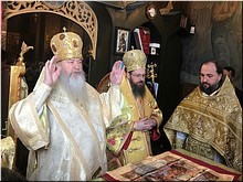 � ����� ������������ �������� ���� ������ ��������� ��������, ������������ ������������, 26.02.2019