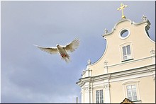 � ���������� ����� ��������� � �������� ���������� �� ������ �����������, �� � ���������� ��������, 30.04.2020 