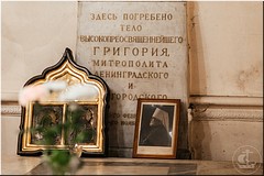 � �������� �� ���� ������ �����������, ����������� ����������� �������� (������), 05.11.2020