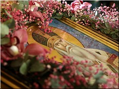 На Патриаршем Подворье в Софии молитвенно отметили 5-летие канонизации святителя Серафима Богучарского, 26.02.2021 На Патриаршем Подворье в Софии молитвенно отметили 5-летие канонизации святителя Серафима Богучарского, 26.02.2021
