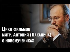 ����������� ������ ���������� ������������ ������ ������ ���� ������� � �������������, 23.04.2021
