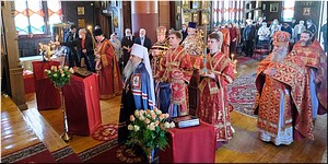 � �������� �������� ���������� �����-������������� ���������� �������� ������������ �������� � ����� ������� ������������ �� ��������, 11.05.2021