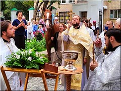� ����� ���������������� ������ � ������ ���������� ������� ��������� �������� ��������� ������� �� ������������, 19.08.2022